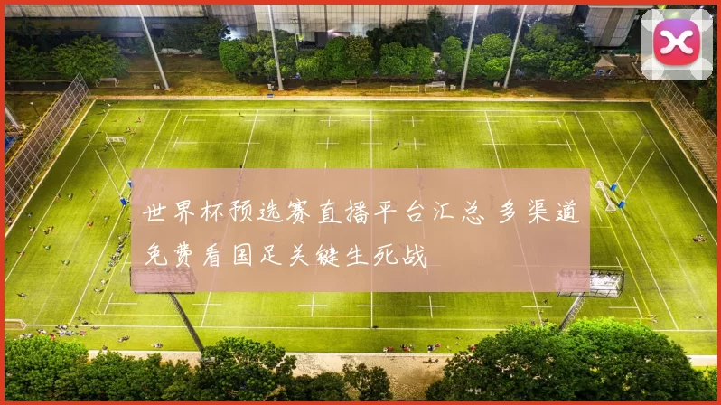 世界杯预选赛直播平台汇总 多渠道免费看国足关键生死战