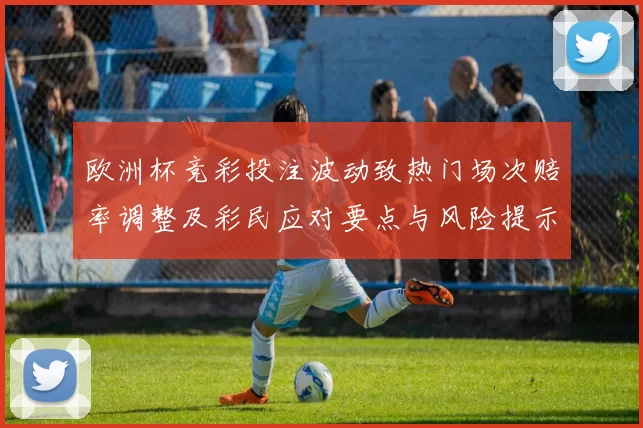 欧洲杯竞彩投注波动致热门场次赔率调整及彩民应对要点与风险提示