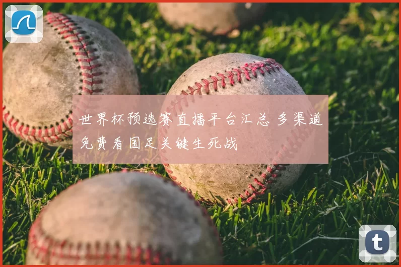 世界杯预选赛直播平台汇总 多渠道免费看国足关键生死战