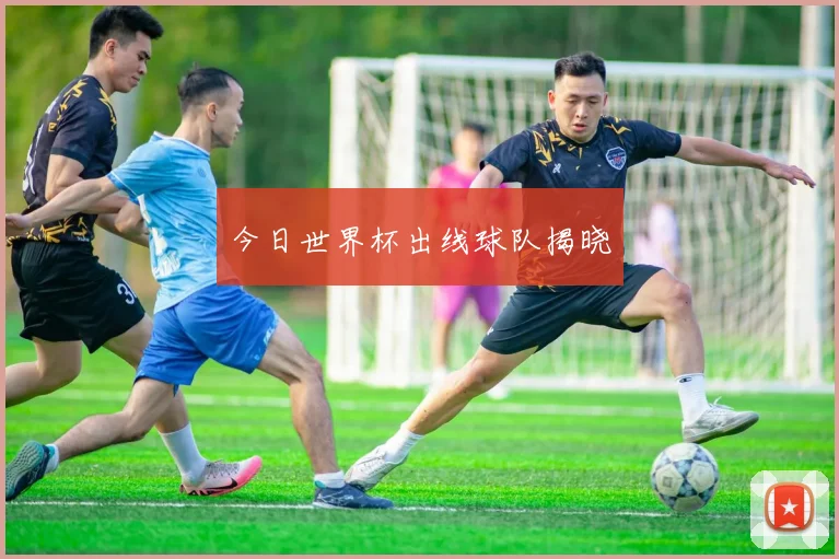 今日世界杯出线球队揭晓