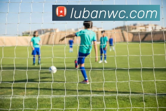 新爱体育(官网)官方网站 - 体育赛事游戏平台平台生态图